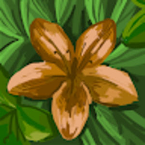 Meet your Posher, Lillian